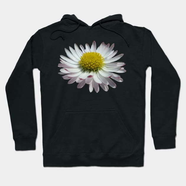 wonderful daisy flower, nature, daisies, Hoodie by rh_naturestyles